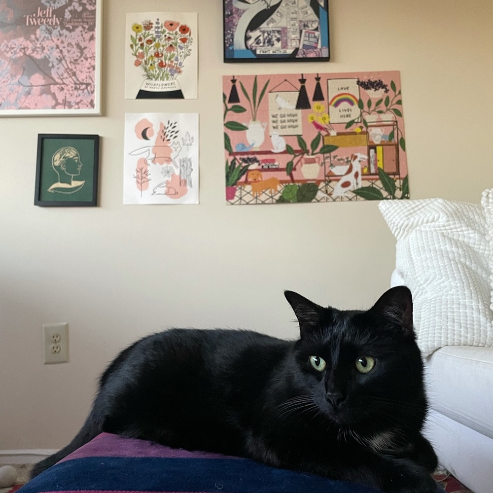 Meet your Posher, Tessa a